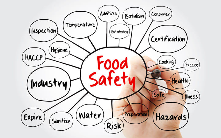 Eine Mindmap zum Thema "Food Safety" mit Begriffen wie: Temperatur, Industrie, Risiko etc.