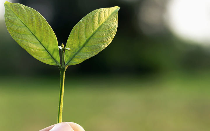 Nachhaltigkeit Nachhaltigkeit