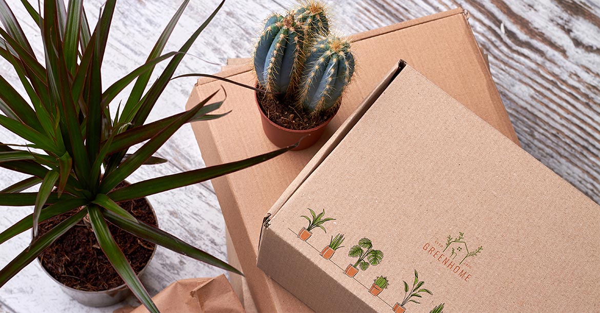 Eco-friendly shipping boxes