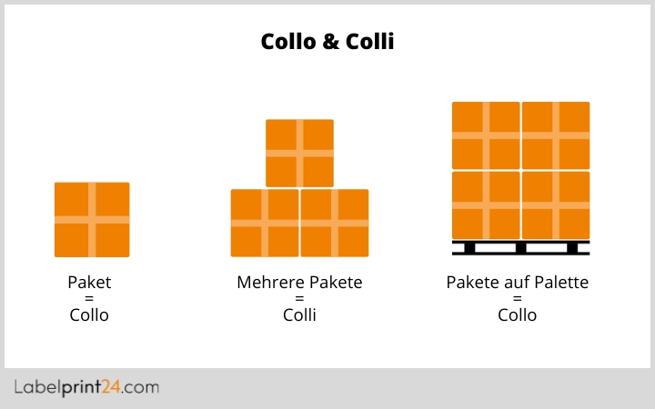 Unterschied Collo und Colli