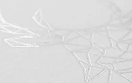 Heißfolienprägung bei Etiketten Heißfolienprägung bei Etiketten